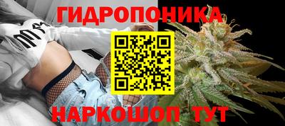 эйфоретик Бузулук