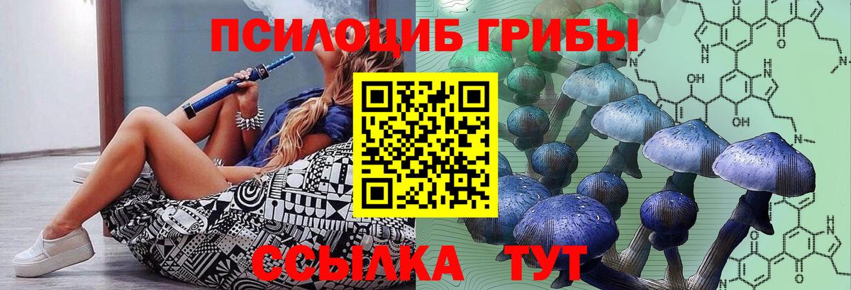 Галлюциногенные грибы Cubensis  Псилоцибиновые грибы Psilocybine cubensis  купить   Вход с VPN  Осинники 